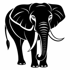 elephant vector illustration