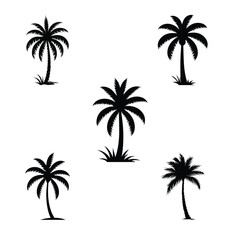 Obraz premium Palm tree silhouette design vector collection