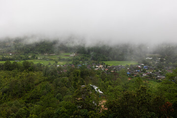 Foggy Landscape Featuring Lush Greenery.