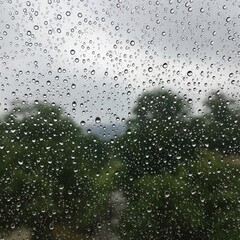 Rainy window with water droplets and blurred background trees rain wallpaper 4k | rain aesthetic wallpaper 4k | rain frog | rain news weather report monsoon