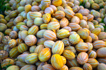 A group of vibrant yellow melons rests elegantly, their smooth, golden rinds and natural curves beautifully highlighted against a pure white background.