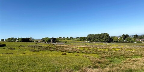 Serene Green Field Extends