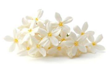 Fototapeta premium A bunch of small white jasmine flowers with star-shaped petals, isolated on a white background