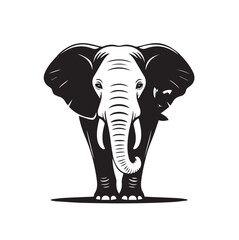 black and white elephant template