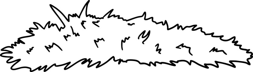 sketch bush grass