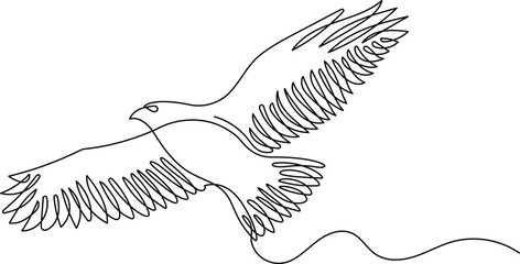 Hawk in continuous line drawing style. Minimalist sketch of eagle, hawk in minimalist black linear isolated on white background. Vector illustration