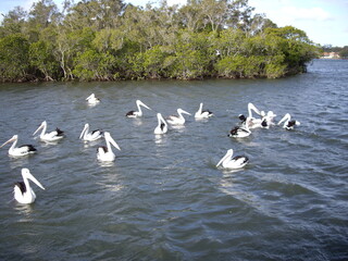 Australia in 2007, random snapshot