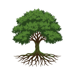 Detailed illustration of a strong oak tree with expansive roots.