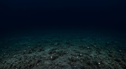Obraz premium A view of the ocean floor with rocks and sand under dark blue water conditions deep down
