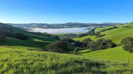 Obraz premium Lush green hills under clear blue sky