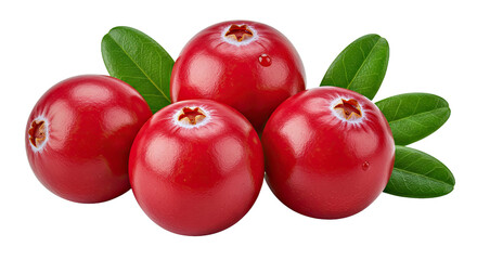 Four Fresh Red Cranberries with Leaf - Healthy Fruit Isolated on Transparent Background