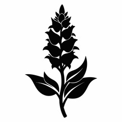 black and white flower