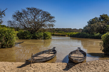 ratargul swamp forest in sylhet bangladesh