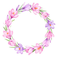 Fototapeta premium Spring Crocus Floral Wreath: A vibrant and delicate floral wreath of pink and purple crocus flowers blooms with spring in a bright and lively image.