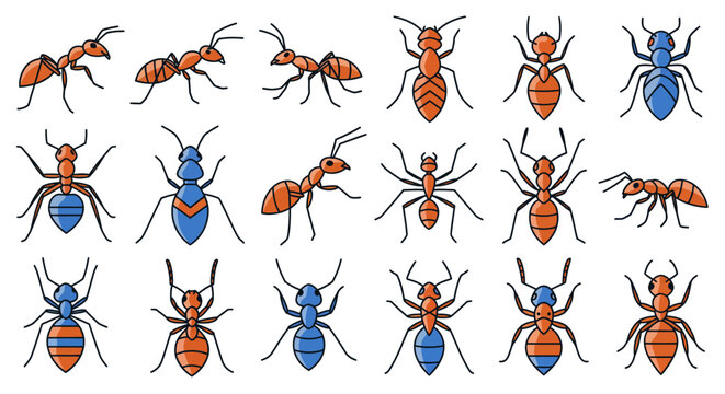 Cartoon Ants Orange and Blue Insect Illustrations with Detailed Legs and Antennae