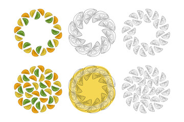 Lemon Lime Orange Citrus slices Outline and Colorful Circle Frames Copy space and Backgrounds Bundle