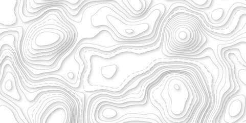 Abstract white paper cut background with line. 3d topography relief. Vector topographic illustration. realistic papercut decoration textured with wavy layer and shadow. seamless pattern wave design.