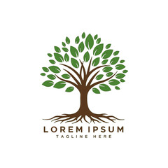 Obraz premium Tree with green leaves and brown trunk and roots