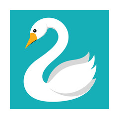 Elegant illustration of a beautiful white swan with bright orange beak on a teal background