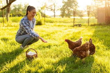 Smiling young female farmer sitting near group of free ranging chickens walking on green grass outdoor at farm © Home-stock