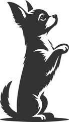 Chihuahua vector animal drawing silhouette