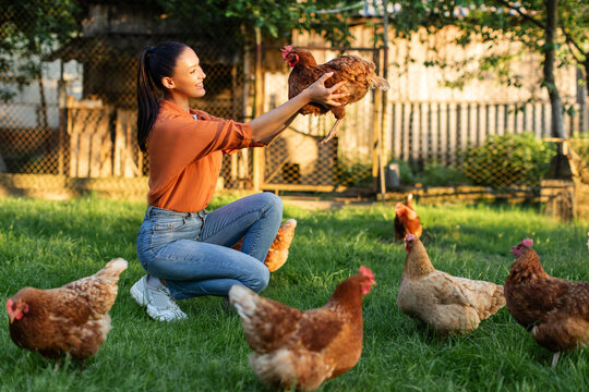 Happy young woman on private farm feeding chickens, female farmer caring, looking after her chickens in her backyard, promoting organic poultry farming