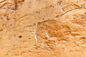 Textured sandstone wall with warm tones showcasing natural patterns and geological features in a close-up view
