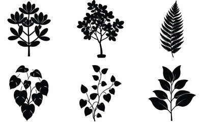 Naklejka premium Indoor Plant Leaf Silhouette Collection – Vector Set of Decorative Houseplant Foliage, detailed leaves for Botanical, Minimalist, and Home Interior Design Projects