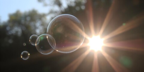 Floating Bubbles in Sunlight: Capture a moment of pure joy and childhood wonder. Soap bubbles shimmer against the radiant sun, creating a mesmerizing display of light and color.