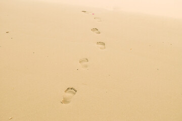 Footprints of human feet on the sand near the water on the beach.