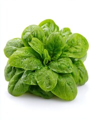 Obraz premium Fresh spinach rosette close up studio shot on white background showing vibrant green leaves and water droplets for healthy eating
