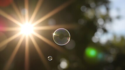 Bubbles in Sunlight: Playful soap bubbles float gently in the air, iridescent and ethereal, kissed by the warm, radiant glow of the sun, evoking feelings of joy and wonder.