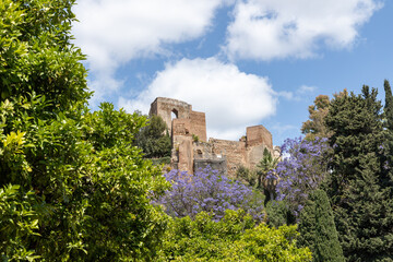Fototapeta premium Ruins of an ancient castle surrounded by vibrant greenery and blooming flowers under a bright blue sky, showcasing historical architecture and nature