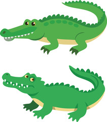 Beautiful Animal of cute alligator