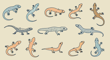 Twelve HatchMarked Lizards in Varied Poses and Hues