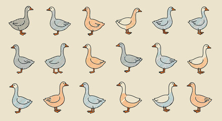 A Pattern of Diverse Domestic Geese in Profile View