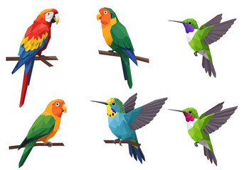 Colorful Geometric Birds in Flight and Perched on Branches