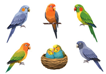 Colorful Collection of Stylized Parrots and Budgies in Various Poses