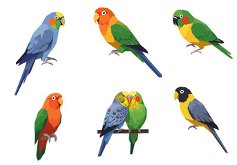 Colorful Geometric Parrots in Various Poses Displaying Unique Plumage