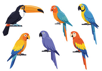 Colorful Tropical Birds Perched on Branches