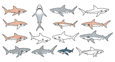 Detailed HandDrawn Sharks in Various Poses and Color Variations