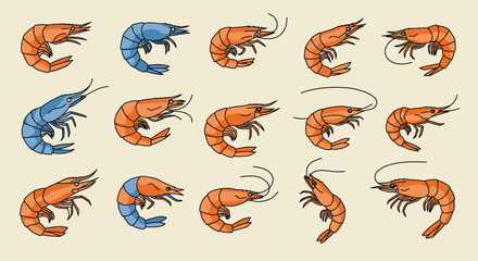 Diverse Shrimp Illustrations in Various Poses