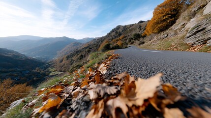 Winding mountain road in autumn, leaves in foreground