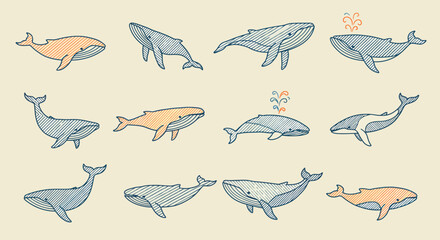 Twelve Stylized Whales with Hatching Some with Water Spouts and Different Poses