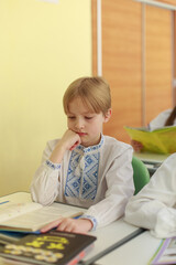 Naklejka premium portrait of a schoolboy in traditional Ukrainian clothes sitting at the desk in the classroom with books, learning concept.