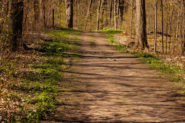 Fototapeta premium A well-traveled hiking trail within Pike Lake Unit, Kettle Moraine State Forest, Hartford, Wisconsin in early May