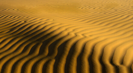 Close Up View Of Sand Dunes In Desert Under Sunlight With Wavy Texture And Shadows