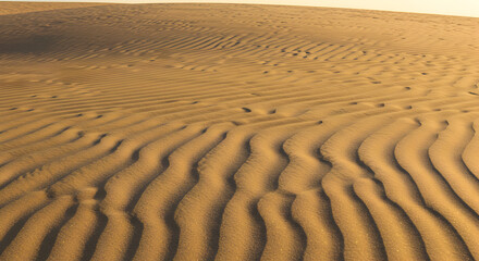 Close Up View Of Sand Dunes In The Desert Landscape With Textured Golden Sand Under Warm Sunlight