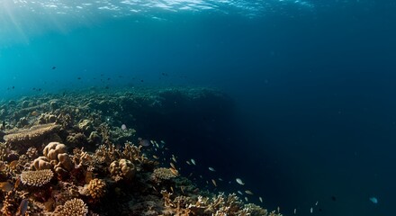 Obraz premium Underwater scene featuring coral reef and schools of fish in clear blue ocean water