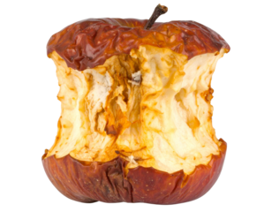 A partially eaten, decaying apple core with wrinkled skin and visible bite marks.